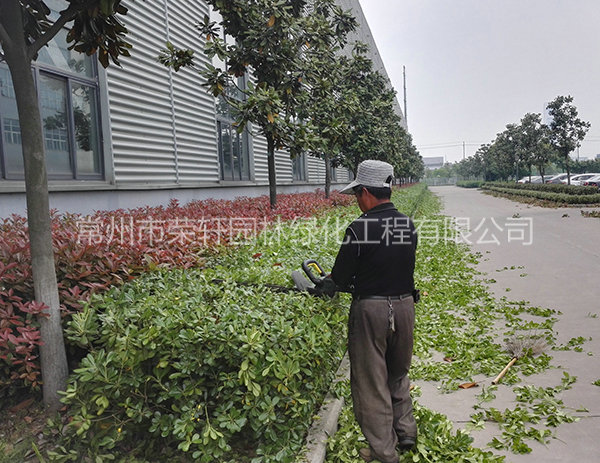 溧陽中興西田養(yǎng)護(hù)