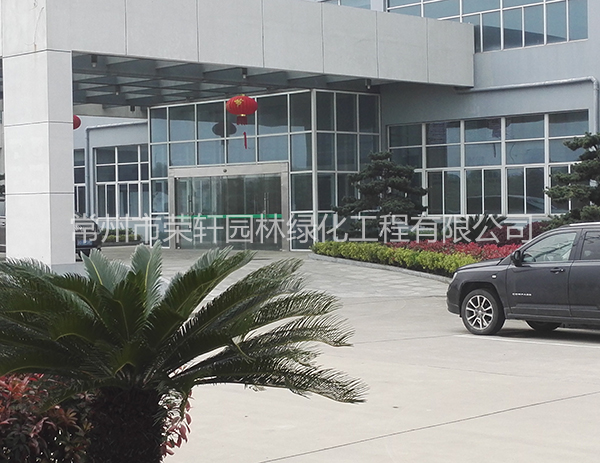 溧陽中興西田養(yǎng)護