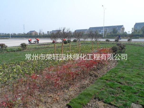 兆勝集團(tuán)施工