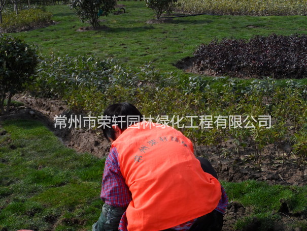 兆勝集團(tuán)施工