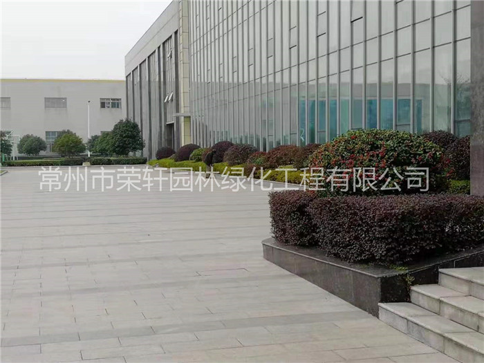 常州新譽(yù)集團(tuán)養(yǎng)護(hù)