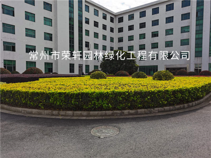 順風光電養(yǎng)護