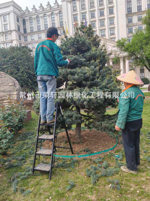 國茂減速機(jī)集團(tuán)有限公司