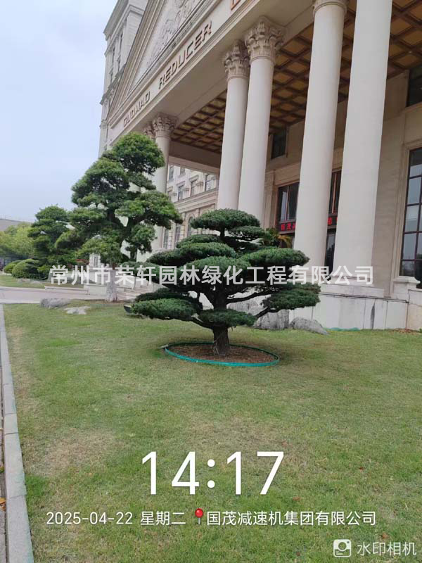 國茂減速機(jī)集團(tuán)有限公司